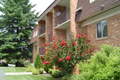 University Heights Apartments - Click For Details