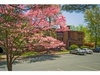 Turtle Creek Condos